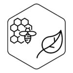 Honig und Wildpflanzen im Hexagon