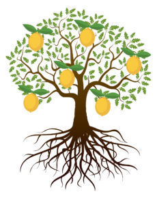 Tiefe Wurzeln eines Zitronenbaums Grafik