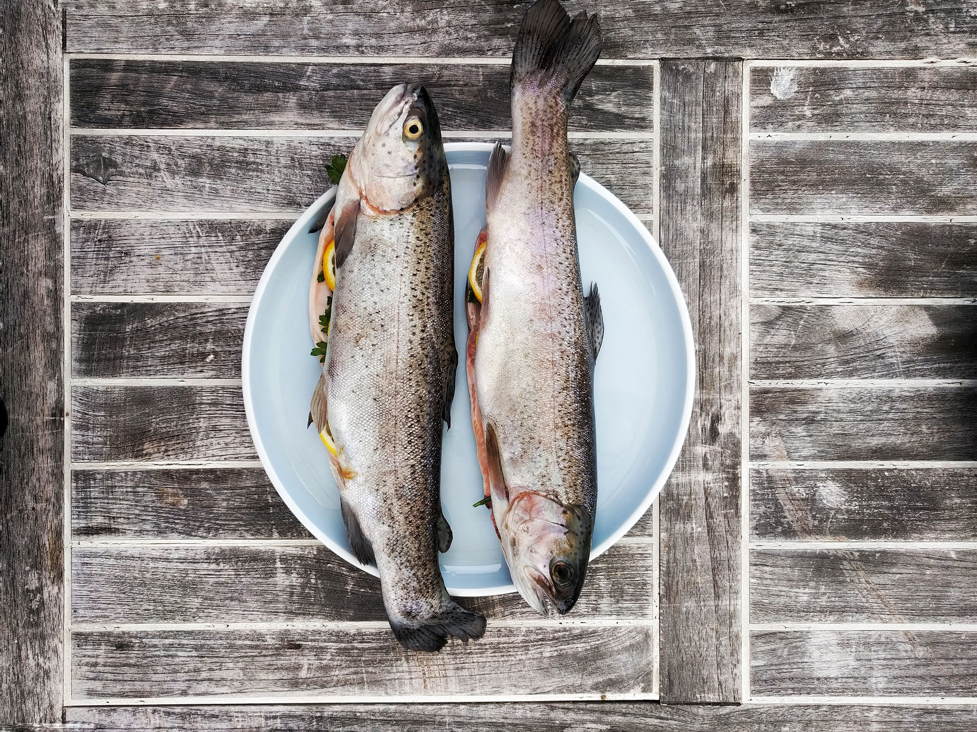 Frischer Fisch auf Teller